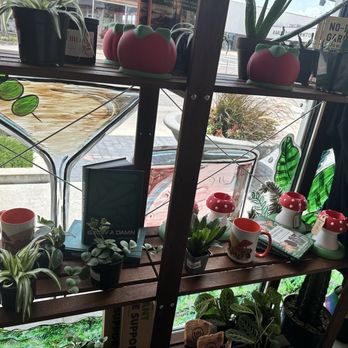 GROW Plant Bar - Nurseries & Gardening Near Me - Wichita, Kansas