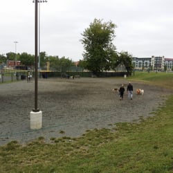 Simpson Stadium Dog Park
