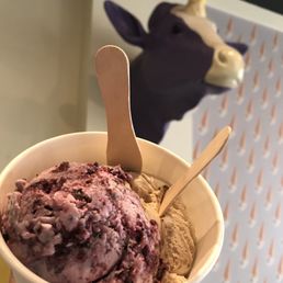 Salted Caramel Ice Cream