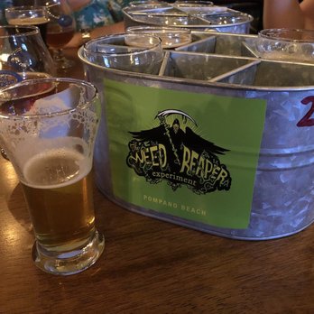 Black Flamingo Brewing - Breweries Near Me - Pompano Beach, Florida Black Flamingo Brewing - Breweries Near Me - Pompano Beach, Florida