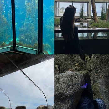 Monterey Bay Aquarium - Aquariums Near Me - Monterey, California