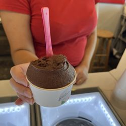 Gelato-go Sarasota - Dark chocolate gelato - dairy free and not too sweet, but certainly scratches the chocolate itch!
