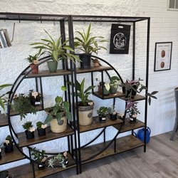 Hill Tree Roastery - Inside