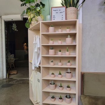 Coffee and Plants - Cacti for sale - Coffee & Tea Near Me - Pasadena, California Coffee and Plants - Cacti for sale - Coffee & Tea Near Me - Pasadena, California