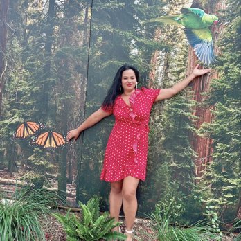 Treehouse Hotel Silicon Valley - Stunning Nature - Hotels Near Me - Sunnyvale, California Treehouse Hotel Silicon Valley - Stunning Nature - Hotels Near Me - Sunnyvale, California