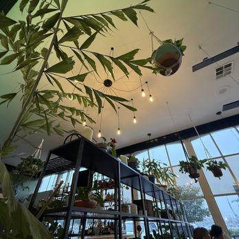 ALO Hotel by Ayres - Hotels Near Me - Orange, California
