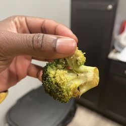 Bugs on the broccoli.