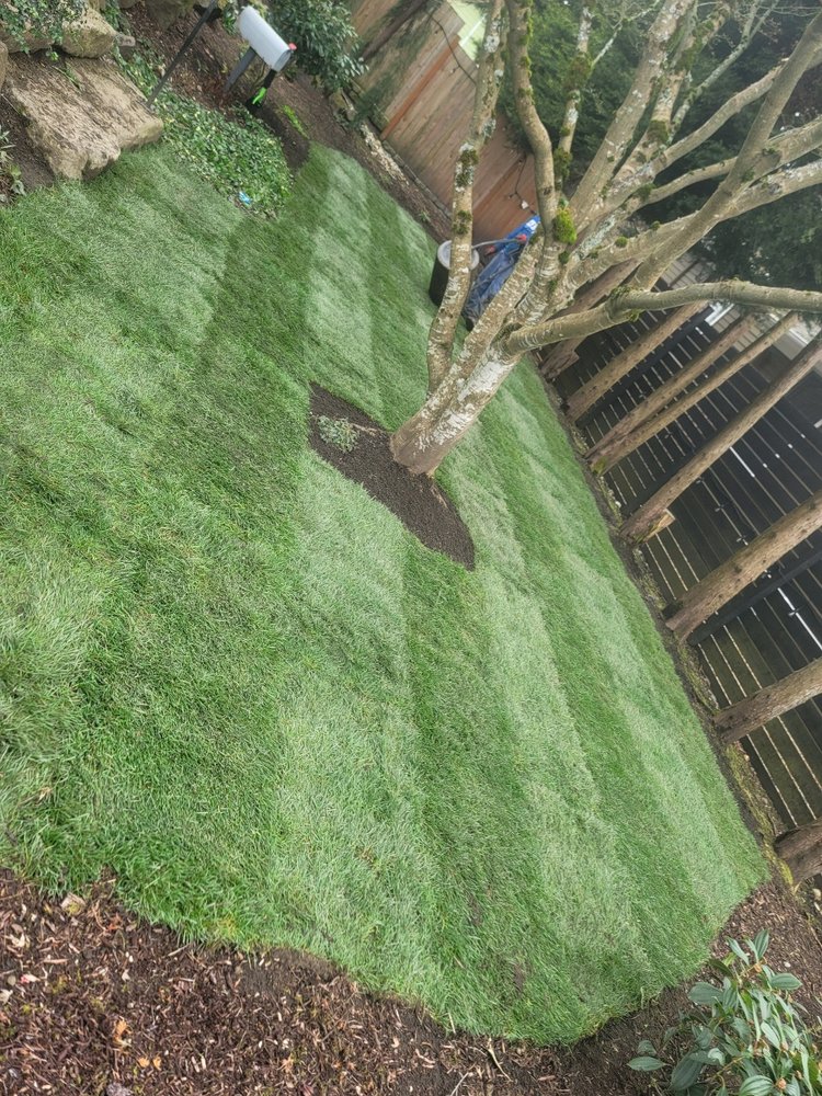 Green Seattle Landscaping - tree service in Seattle, WA