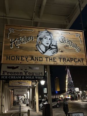 Honey and The Trapcat by null