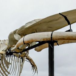 Hatfield Marine Science Center