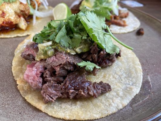Chicatana by null