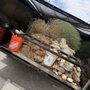 AJB Haulin and Junk Removal