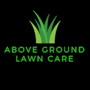 Photo of Above Ground Lawn Care