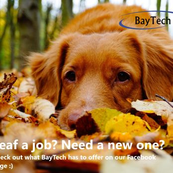 Baytech Employment Agencies 5108 Eastman Ave Midland Mi Phone Number