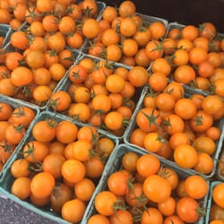 PA Farmers Open Air Market