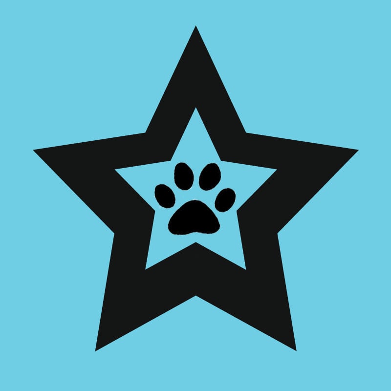 Walkstar Dogwalking Image