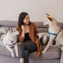 Photo of Puppy Pants LA