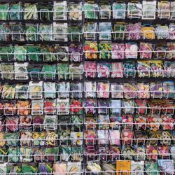 Ace Hardware - They've got seeds!