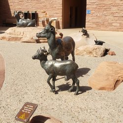 Island in the Sky Visitor Center - Either deer or ram