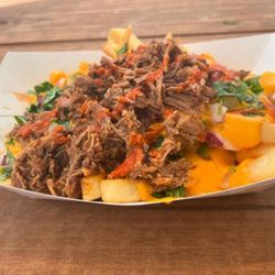 Loaded Birria fries!