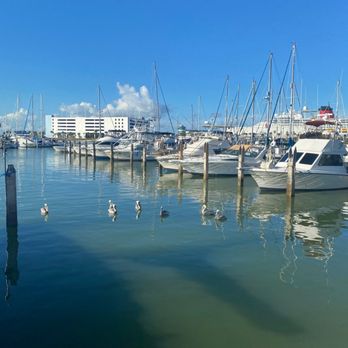 Cocoa Beach Catamaran - Boat Charters Near Me - Merritt island, Florida