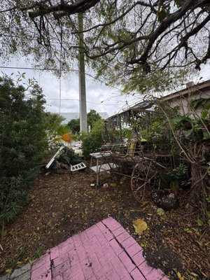 LASOCIAL - BRUNCH & CAFE by null