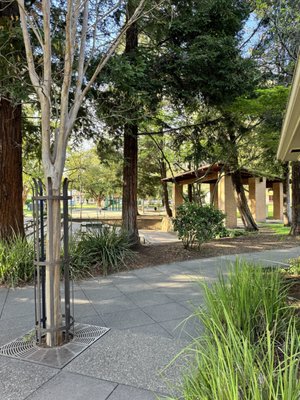 Sonoma Plaza by null
