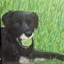 Photo of Lexi’s Arts