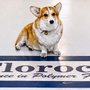 Florock Polymer Flooring