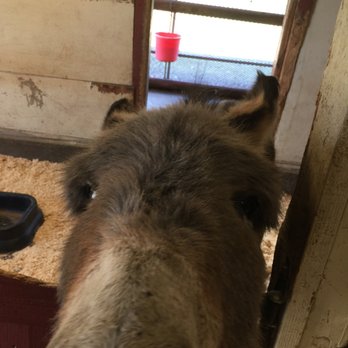 The Little Red Barn - #Yelp #TheLittleRedBarn #HaganCommunityPark - Animal Shelters Near Me