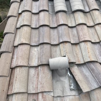 Aliza's Bee Removal - Pest Control Near Me - Poway, California Aliza's Bee Removal - Pest Control Near Me - Poway, California