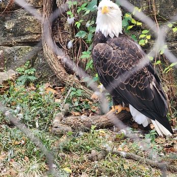 Memphis Zoo - Zoos Near Me - Memphis, Tennessee