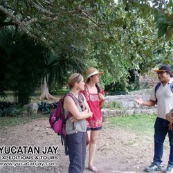 Yucatan Jay - Tour Culturales en Ek Balam  No se pierda esta única experiencia