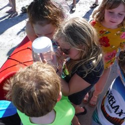 Kids doing what kids do best .... exploring and learning
