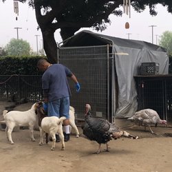 Community Service/Non-Profit - ORANGE COUNTY RESCUE MISSION - 48 Photos ...