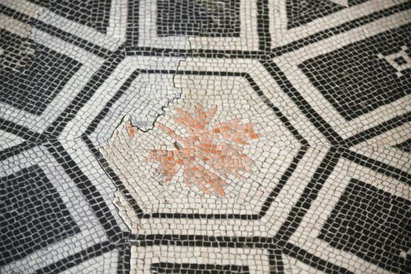 Echelon Ease Rug Cleaning Bayside