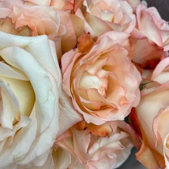 Vons - Roses - Grocery Near Me - Escondido, California Vons - Roses - Grocery Near Me - Escondido, California