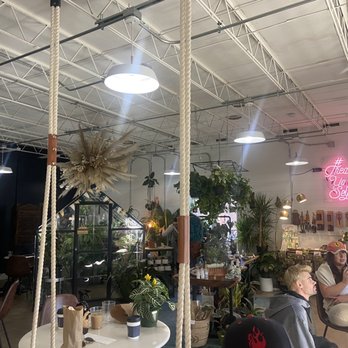 Dandy Lion Coffee - Coffee & Tea Near Me - Denver, Colorado Dandy Lion Coffee - Coffee & Tea Near Me - Denver, Colorado