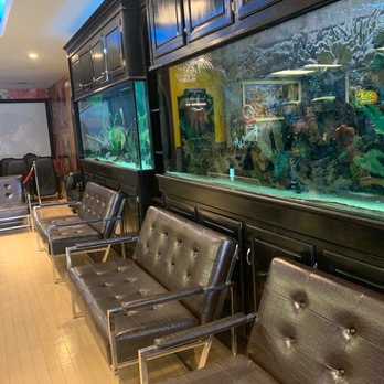 Alegre Dental - Big fish aquariums - General Dentistry Near Me - San Antonio, Texas Alegre Dental - Big fish aquariums - General Dentistry Near Me - San Antonio, Texas