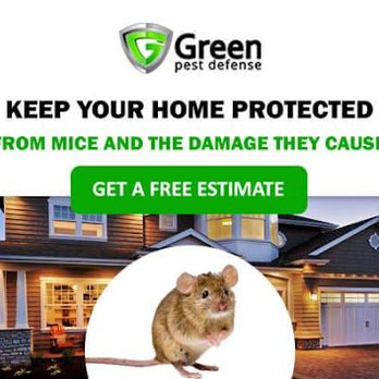 Green Pest Defense - Pest Control Near Me - Freeport, Maine Green Pest Defense - Pest Control Near Me - Freeport, Maine
