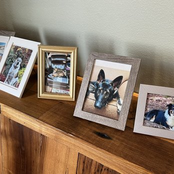Toast & Co - Dog portraits for dog lovers - Coffee & Tea Near Me - Litchfield, Connecticut Toast & Co - Dog portraits for dog lovers - Coffee & Tea Near Me - Litchfield, Connecticut
