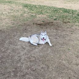 freya freya