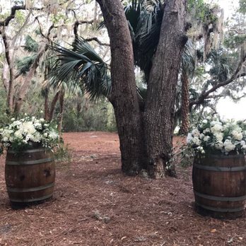 Dottie B Florist - Florists Near Me - Fernandina Beach, Florida Dottie B Florist - Florists Near Me - Fernandina Beach, Florida