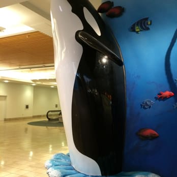 SeaWorld - Toy Stores Near Me - Orlando, Florida SeaWorld - Toy Stores Near Me - Orlando, Florida