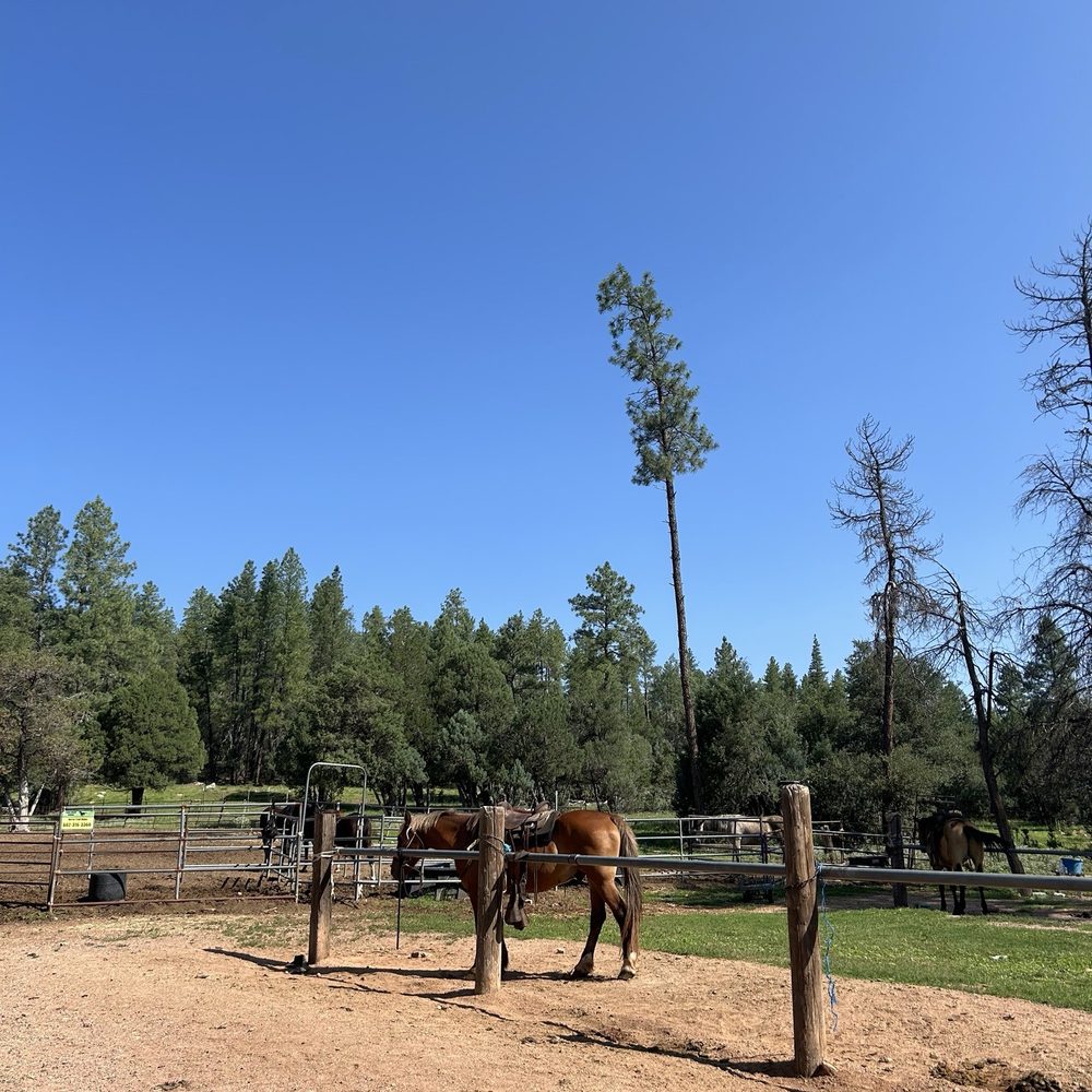 Kohl's Ranch Stables - Horseback Riding Near Me - Payson, Arizona Kohl's Ranch Stables - Horseback Riding Near Me - Payson, Arizona