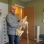 Mainiero Family Chiropractic & Wellness Center