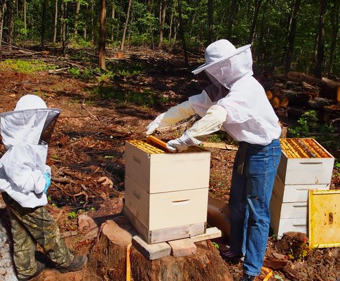 Save The Bees USA by null