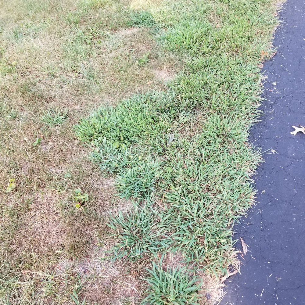 TruGreen Lawn Care - Front yard by driveway! - Tree Services Near Me - Lafayette, Indiana TruGreen Lawn Care - Front yard by driveway! - Tree Services Near Me - Lafayette, Indiana