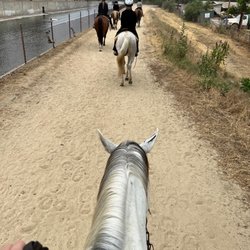 The Riding Coach