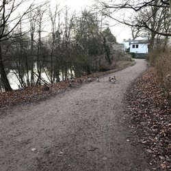 Wesselhoeftpark - Tierischer Querverkehr